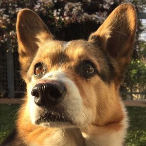 Meet your Posher, Rob